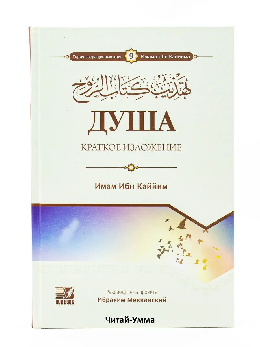 Книга "Душа. Кратко изложение" 416стр. изд. Nur Book в упак. 10 экз.